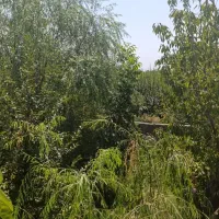 باغچه قاسم اباد بزرگ.فروش یامعاوضه|فروش زمین و ملک کلنگی|هشتگرد, قاسم آباد بزرگ|دیوار