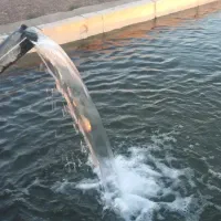 زمین کشاورزی.