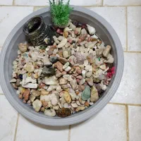 اکواریوم|ماهی|میانه, |دیوار