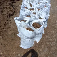 کودگوسفندی پوسیده وپودرشده