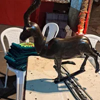 حیوان علامت (نقره وطلا کوب ساده شال کتیبه وپر)