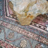 سنگ کلکسیونی