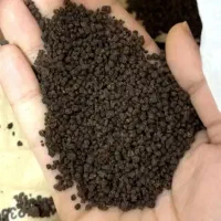 چای باروتی معطر  درجه ۱