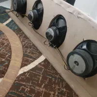 پخش و باند پایونر