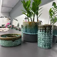 خانم نیروی نظافت یا خدماتی (خانم)