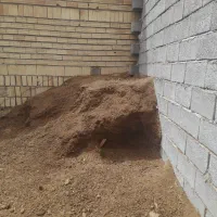 کود‌ریز‌گوسفند