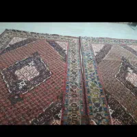 فرش دستبافت ۹متری|فرش|پاکدشت, شهرک انقلاب|دیوار