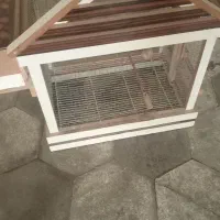 قفس پرنده نونو