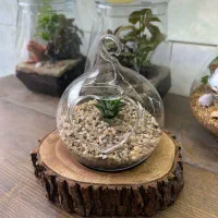 فروشنده دستفروشی|استخدام بازاریابی و فروش|رشت, بازار|دیوار