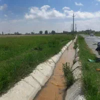 فروش یامعاوضه باغ انگورو زمین کشاورزی درصالح آباد|فروش دفتر صنعتی، کشاورزی، تجاری|صالح آباد, |دیوار