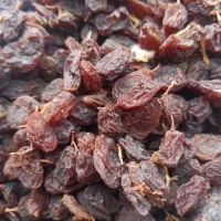 کشمش افتابی نقدی و چک