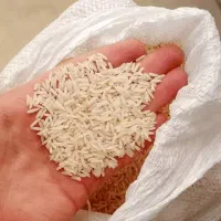 انواع برنج ممتاز و درجه ۱ شمال زیبا|خوردنی و آشامیدنی|هشتگرد, شهرک بعثت|دیوار