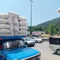 کاه گندم و کاه لوبیا