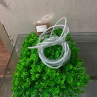 اکواریوم با شیشه و پایه و تمامی وسایل|ماهی|تهران, افسریه شمالی|دیوار