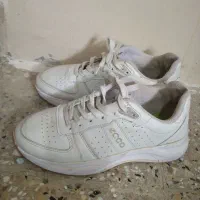 اسپرت