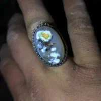 انگشتر شجر اصلی