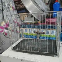 قفس قناری|لوازم جانبی حیوانات|کرمان, |دیوار