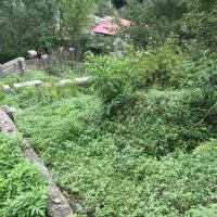 زمین در لوندویل سیرلیوه ۱۶۱متر