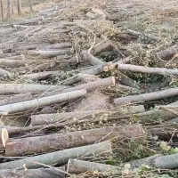 به یک کارگرساده جهت کاردرصنایع چوب نیازمندیم