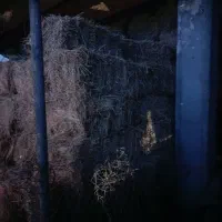 یونجه ساغ ریز گوسفندی