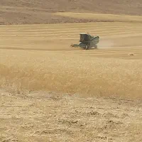 زمین کشاورزی حاصلخیز در شوشتری