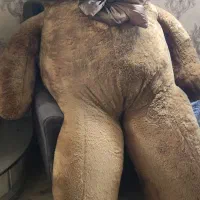 عروسک خرس|اسباب‌‌بازی|ری, حمزه‌آباد|دیوار