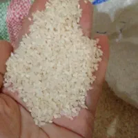 نیمدانه هاشمی