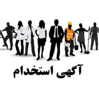 استخدام نیروی کمکی