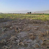 زمین مخصوص باغ.گاوداری.کارگاه.در روستا کناره مناسب|فروش زمین و ملک کلنگی|مرودشت, کناره|دیوار