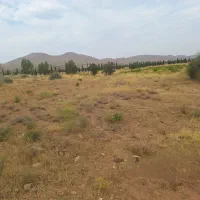 باغ انگور سر راه بردج فروش یا نعاوضه|فروش زمین و ملک کلنگی|شیراز, شهدای شهرک سعدی|دیوار