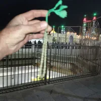 شاه مقصود 33دانه|کلکسیون اشیاء عتیقه|قم, قم نو|دیوار