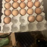 تخم مرغ گلپایگانی