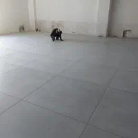 کاشی کار  سرامیک کار کاشیکاری  سرامیک کاری|خدمات پیشه و مهارت|شاهین‌شهر, شهرک گلدیس|دیوار