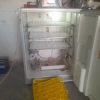 دستگاه جوجه کشی تمام اتوماتیک(پیام رسان)