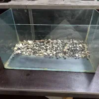 آکواریوم شیشه خم