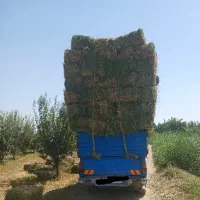 خریدار یونجه و علف