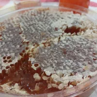 عسل طبیعی کوهستان|خوردنی و آشامیدنی|بانه, |دیوار