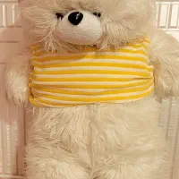 عروسک نو مناسب ولنتاین