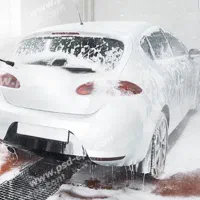 نیازمند نیروی کارواش