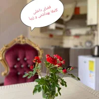 اجاره سوئیت اقتصادی و مجهز در شهر ییلاقی شهمیرزاد