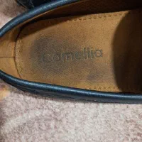 کفش چرم کالج سایز۴۱|کیف، کفش، کمربند|شیروان (خراسان), |دیوار