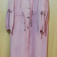 پالتو جنس سوئیت