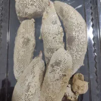 عسل شاخه ای|خوردنی و آشامیدنی|شیراز, سینما سعدی|دیوار