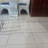 پارک حیوانات