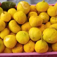 انجیر بی دونه