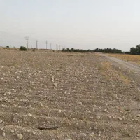 اجاره دادن زمین کشاورزی خورموج|اجارهٔ دفتر صنعتی، کشاورزی، تجاری|خورموج, |دیوار