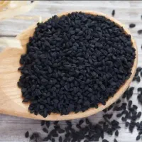 بذر پیاز مینروا