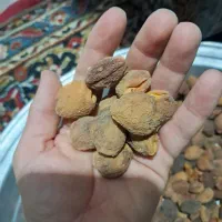 زردالو خشک