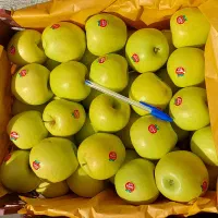 ۵۱ جعبه سیب سفید با فیلم|خوردنی و آشامیدنی|شاهین دژ, |دیوار