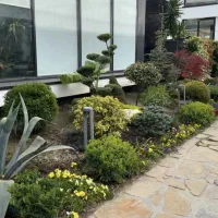 خدمات مهندسی فضای سبز طراحی کاشت نگهداری مشاوره